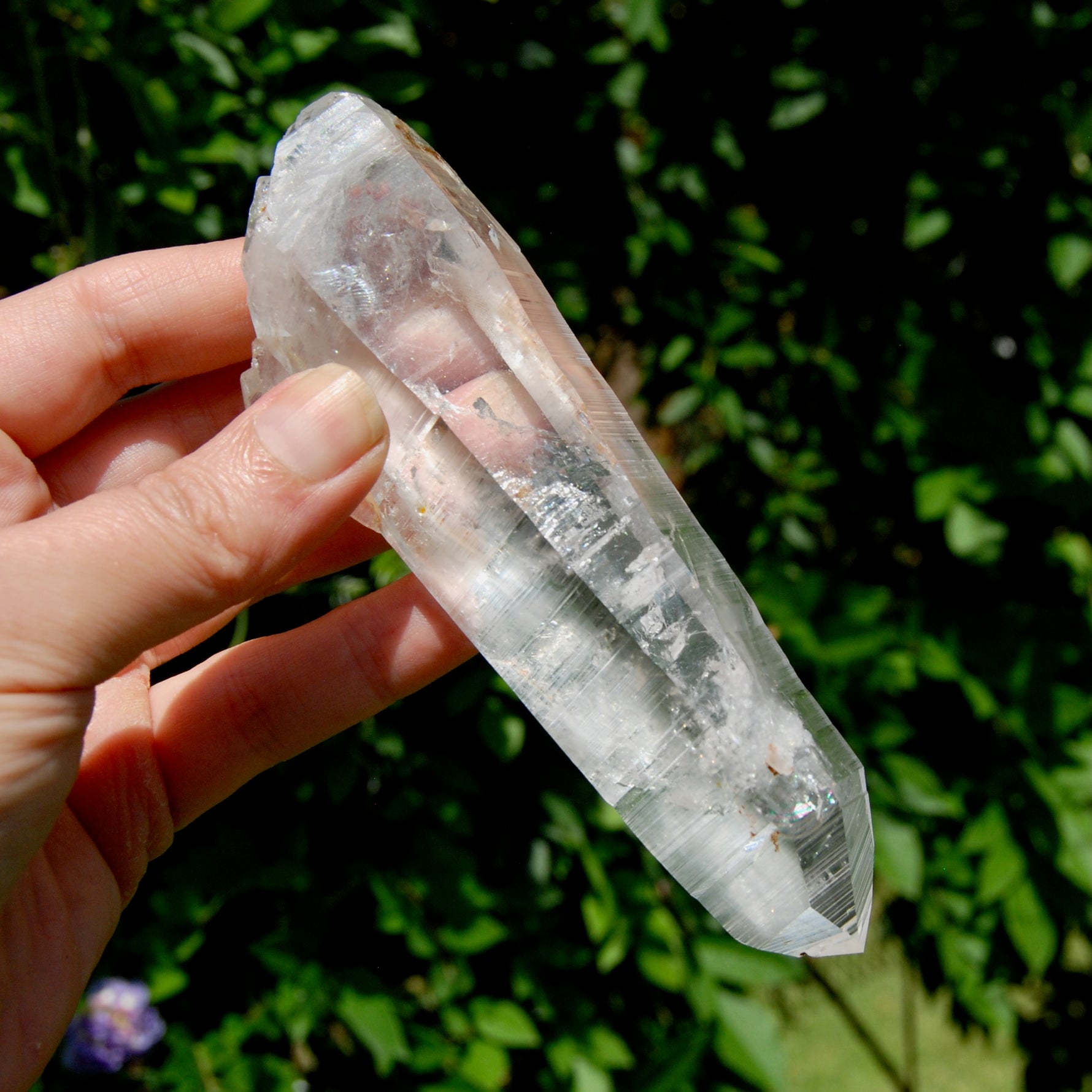 ET DT Lemurian Crystal Starbary - 5.25" 186g Golden Healer Etched Inset Optical Quartz, Colombia