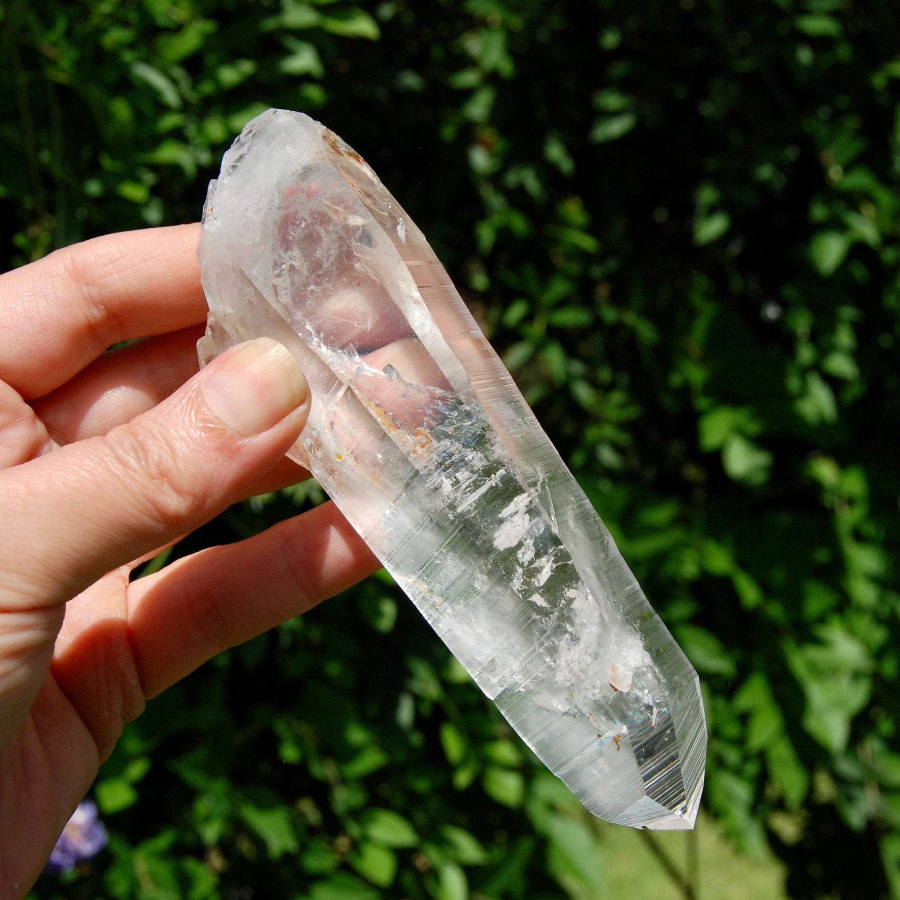ET DT Lemurian Crystal Starbary - 5.25" 186g Golden Healer Etched Inset Optical Quartz, Colombia