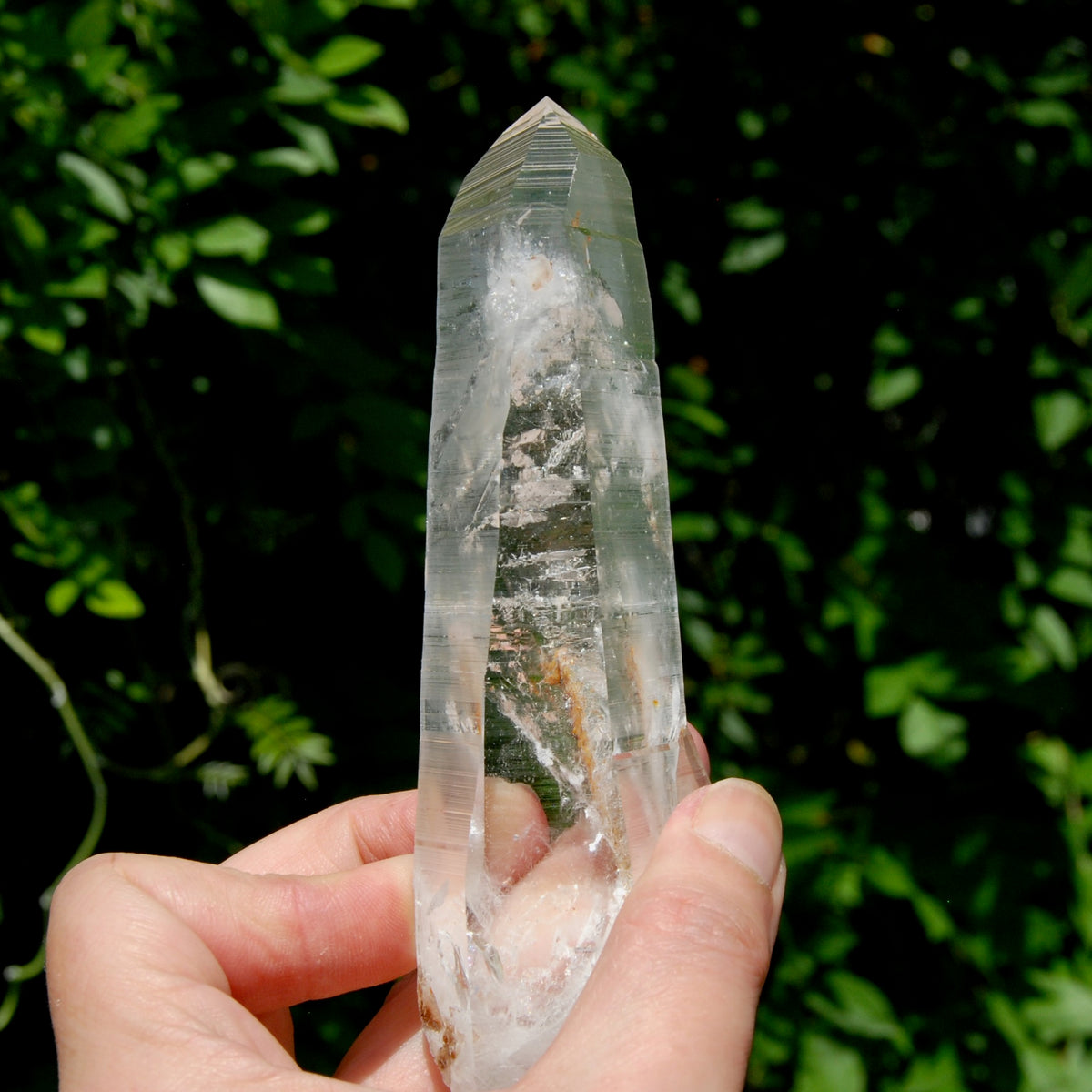 ET DT Lemurian Crystal Starbary - 5.25" 186g Golden Healer Etched Inset Optical Quartz, Colombia