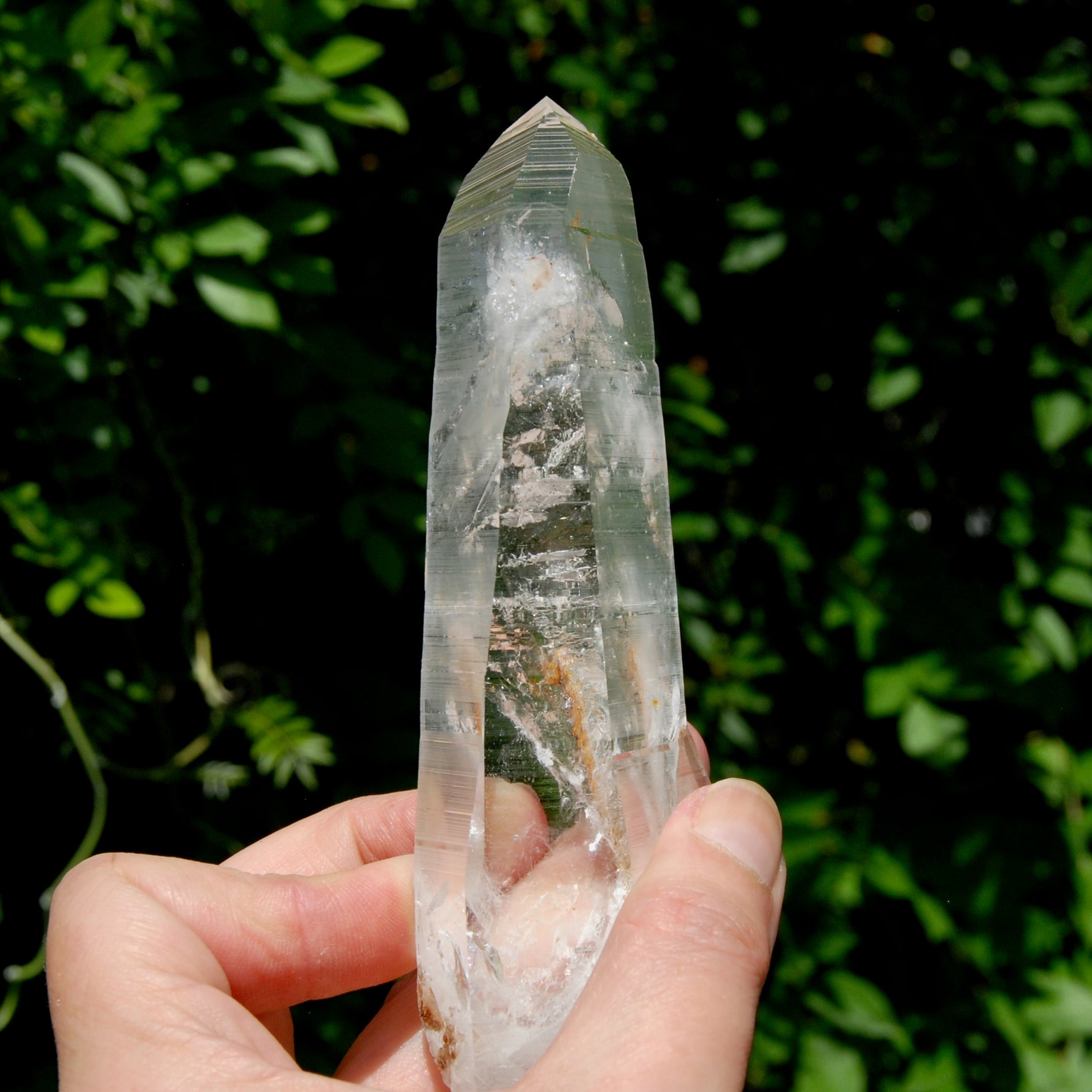 ET DT Lemurian Crystal Starbary - 5.25" 186g Golden Healer Etched Inset Optical Quartz, Colombia