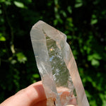 ET DT Lemurian Crystal Starbary - 5.25" 186g Golden Healer Etched Inset Optical Quartz, Colombia