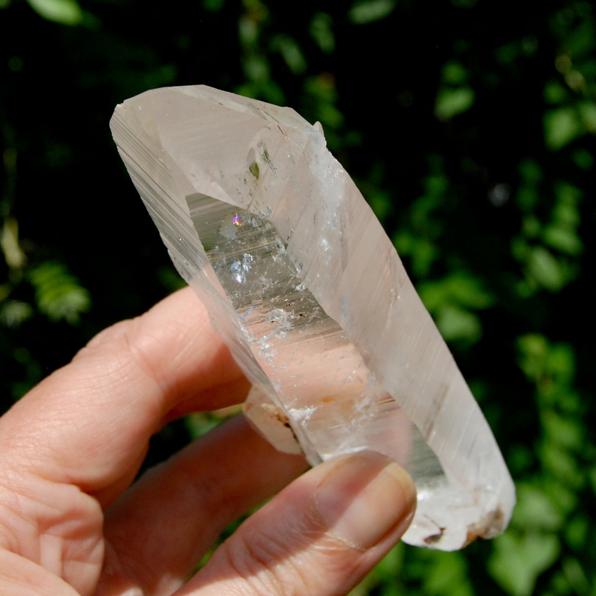 ET DT Lemurian Crystal Starbary - 5.25" 186g Golden Healer Etched Inset Optical Quartz, Colombia