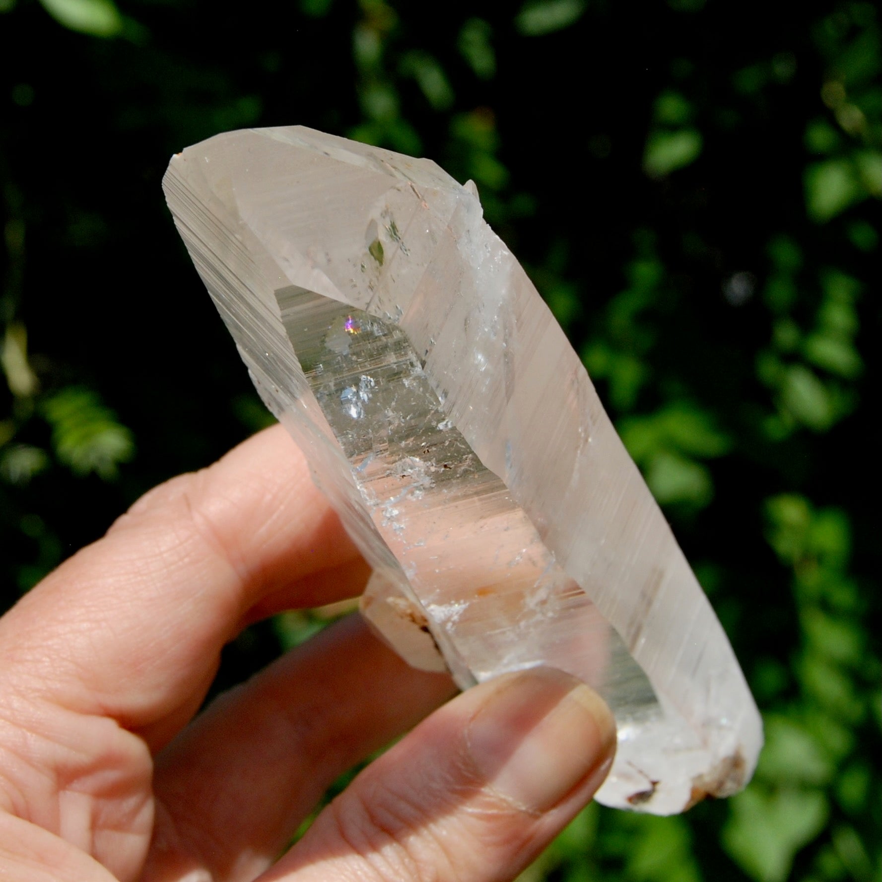 ET DT Lemurian Crystal Starbary - 5.25" 186g Golden Healer Etched Inset Optical Quartz, Colombia