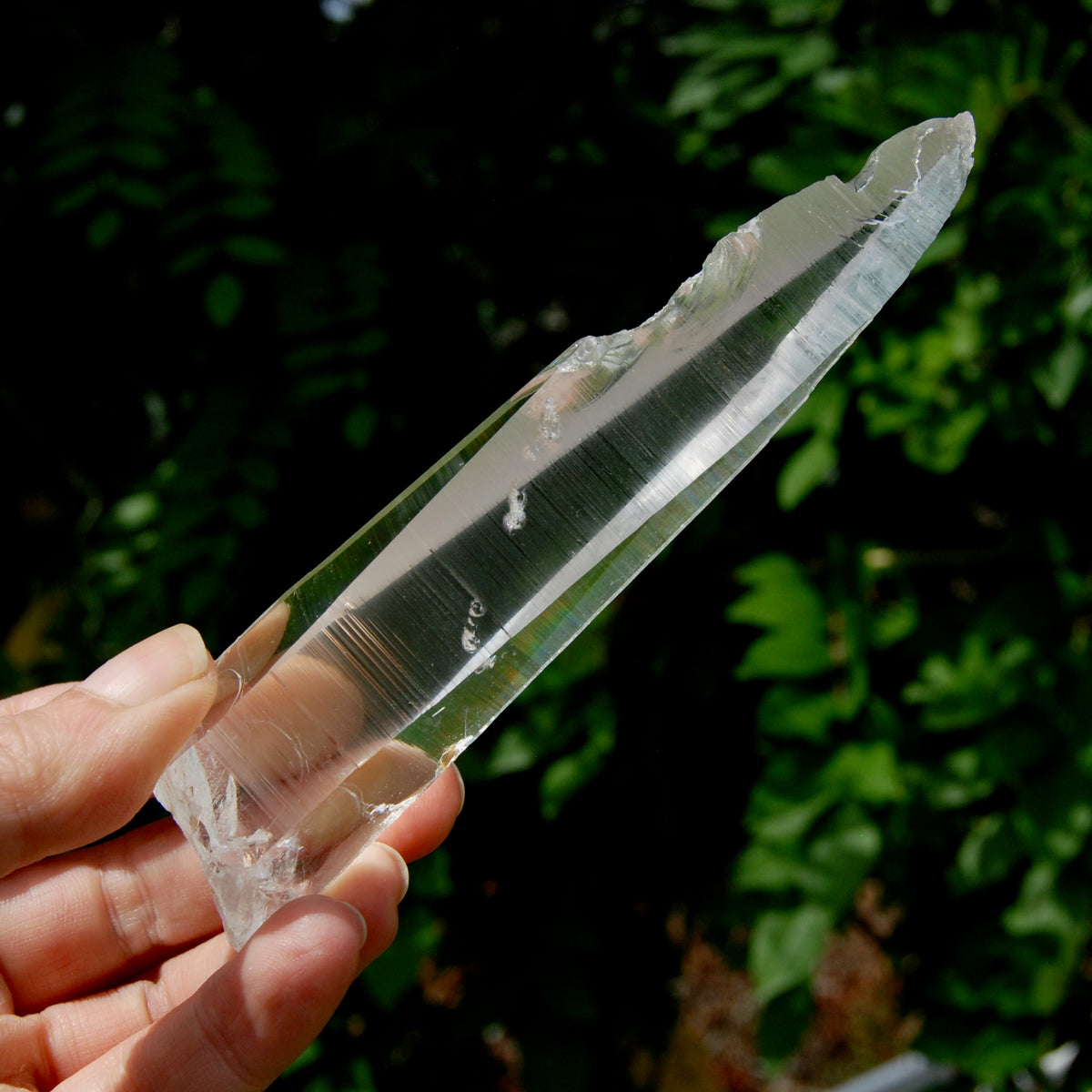 Lemurian Crystal Laser Starbary - 5.25" 111g Etched Optical Empathic Warrior Quartz, Colombia