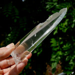 Lemurian Crystal Laser Starbary - 5.25" 111g Etched Optical Empathic Warrior Quartz, Colombia