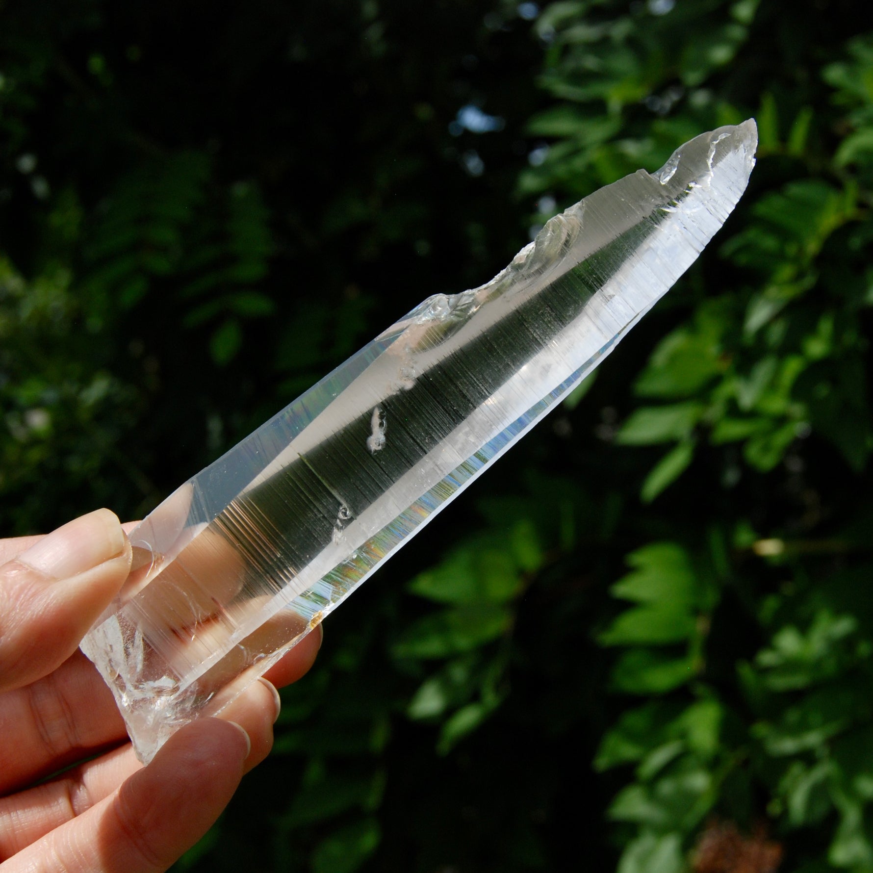 Lemurian Crystal Laser Starbary - 5.25" 111g Etched Optical Empathic Warrior Quartz, Colombia