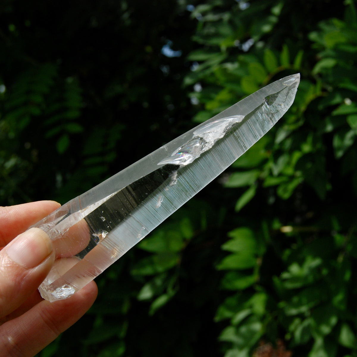 Lemurian Crystal Laser Starbary - 5.25" 111g Etched Optical Empathic Warrior Quartz, Colombia