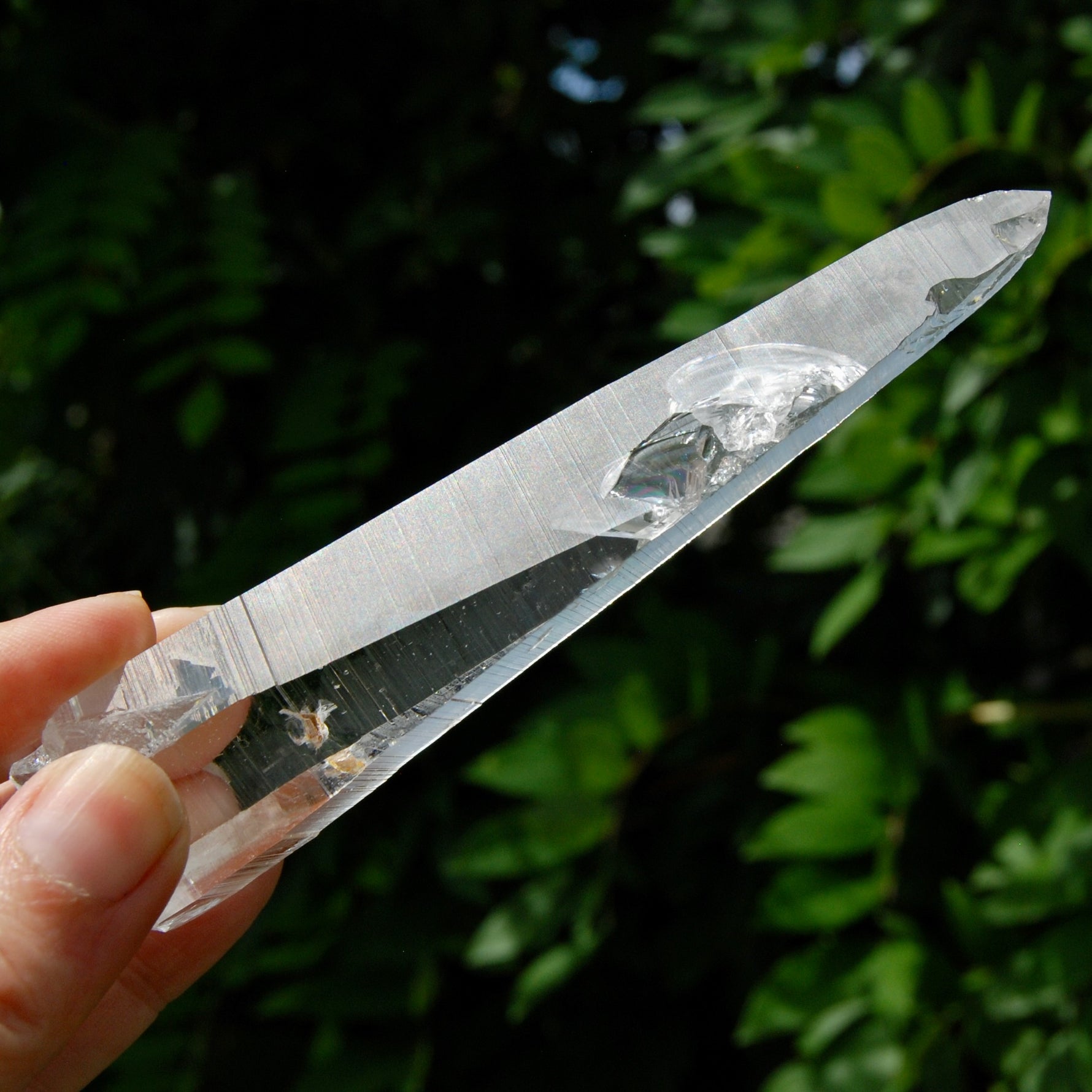 Lemurian Crystal Laser Starbary - 5.25" 111g Etched Optical Empathic Warrior Quartz, Colombia