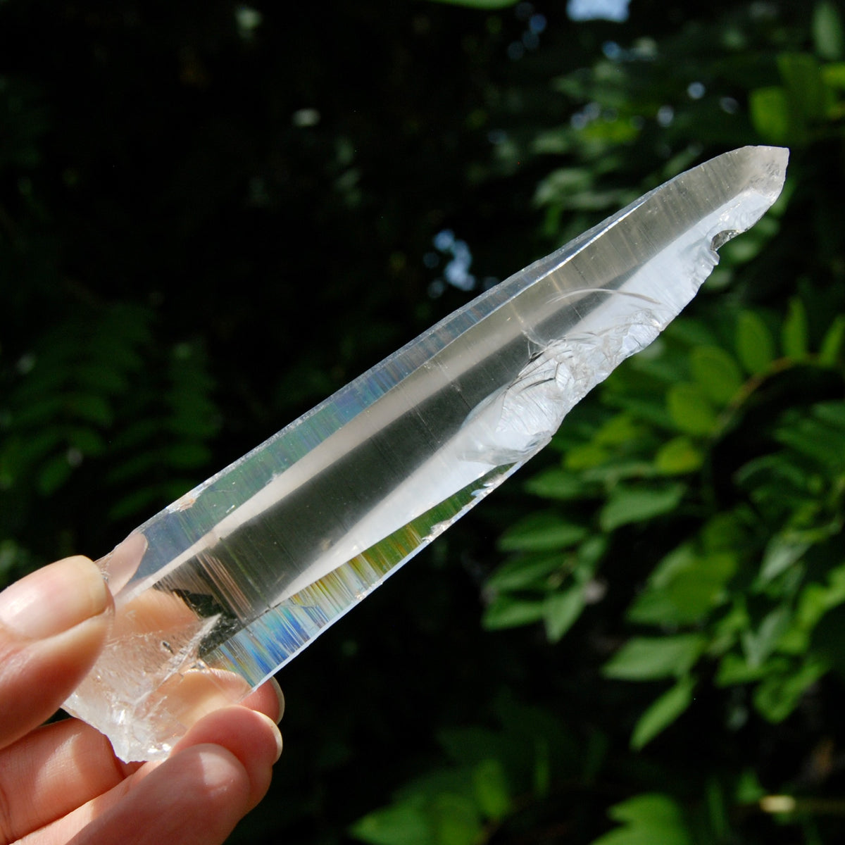 Lemurian Crystal Laser Starbary - 5.25" 111g Etched Optical Empathic Warrior Quartz, Colombia