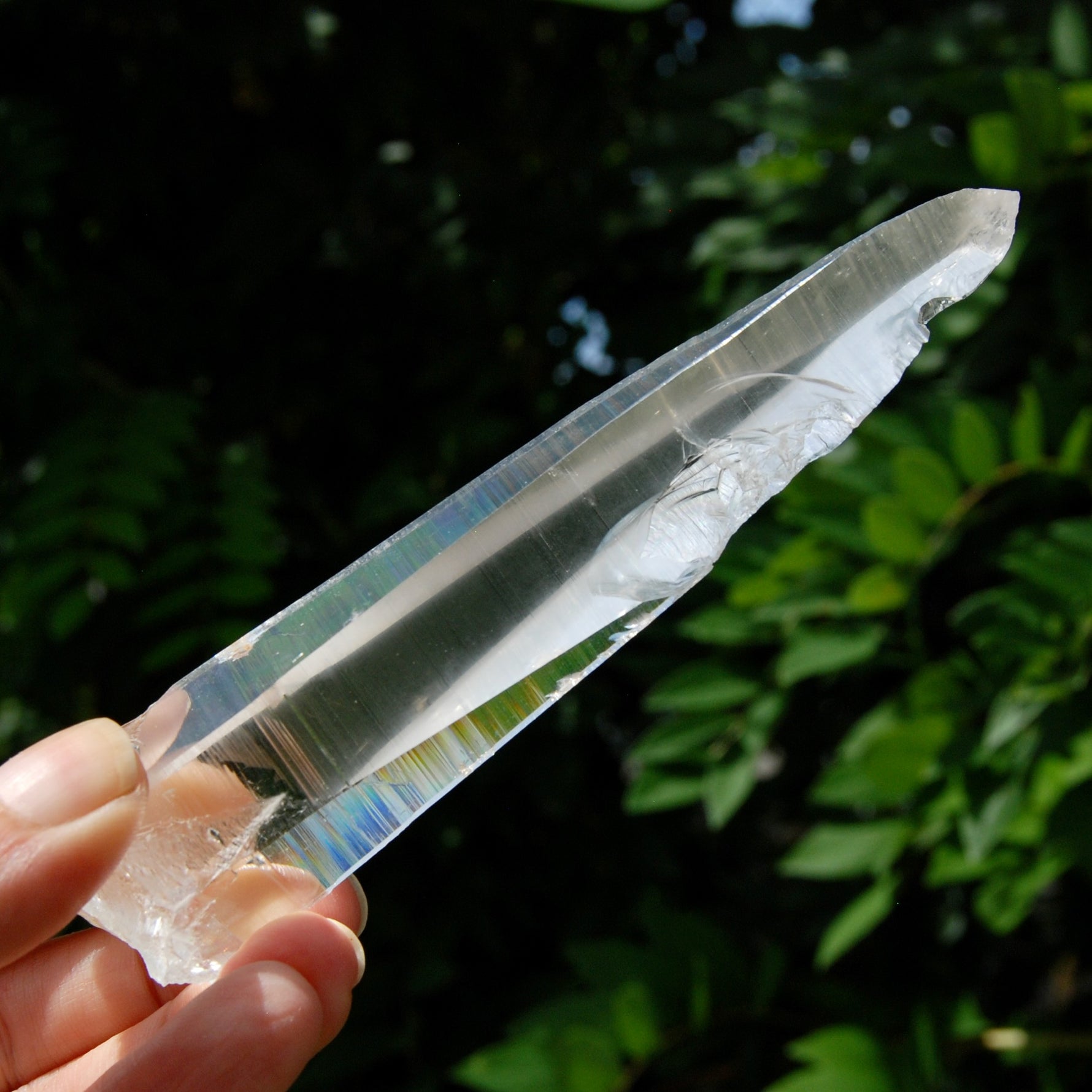 Lemurian Crystal Laser Starbary - 5.25" 111g Etched Optical Empathic Warrior Quartz, Colombia