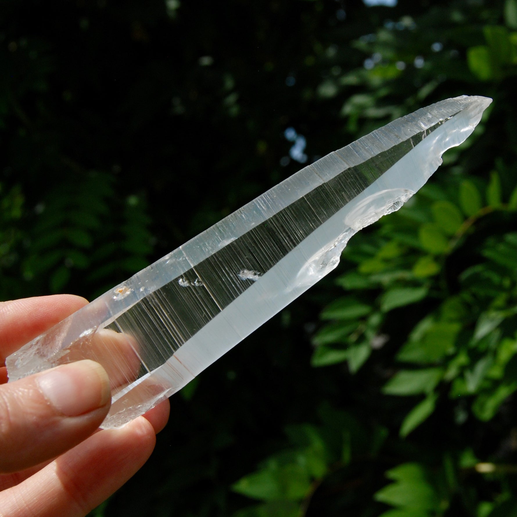 Lemurian Crystal Laser Starbary - 5.25" 111g Etched Optical Empathic Warrior Quartz, Colombia