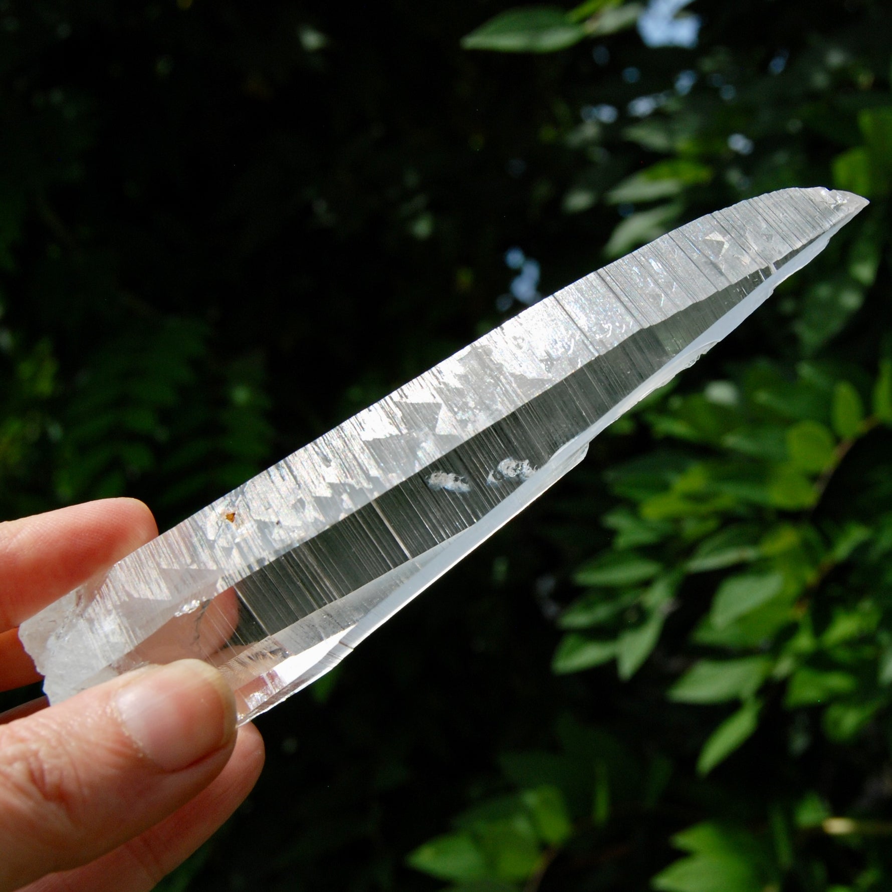 Lemurian Crystal Laser Starbary - 5.25" 111g Etched Optical Empathic Warrior Quartz, Colombia