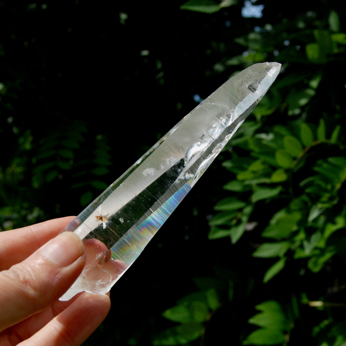 Lemurian Crystal Laser Starbary - 5.25" 111g Etched Optical Empathic Warrior Quartz, Colombia