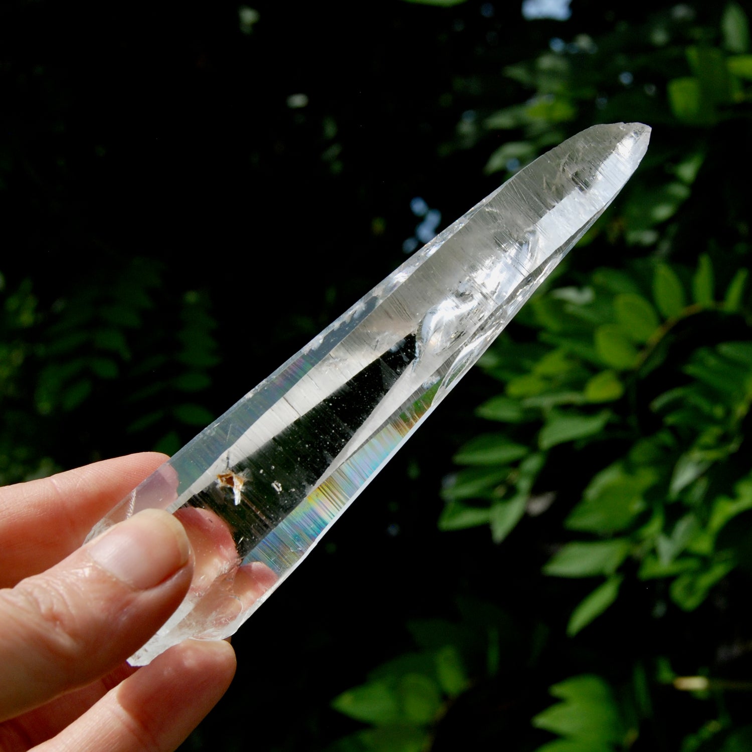 Lemurian Crystal Laser Starbary - 5.25" 111g Etched Optical Empathic Warrior Quartz, Colombia