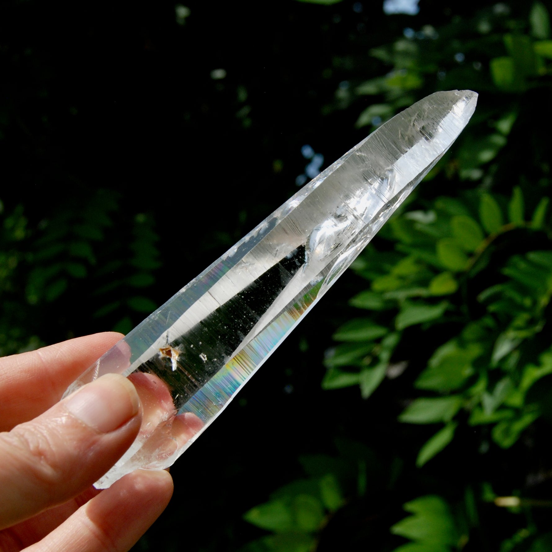 Lemurian Crystal Laser Starbary - 5.25" 111g Etched Optical Empathic Warrior Quartz, Colombia