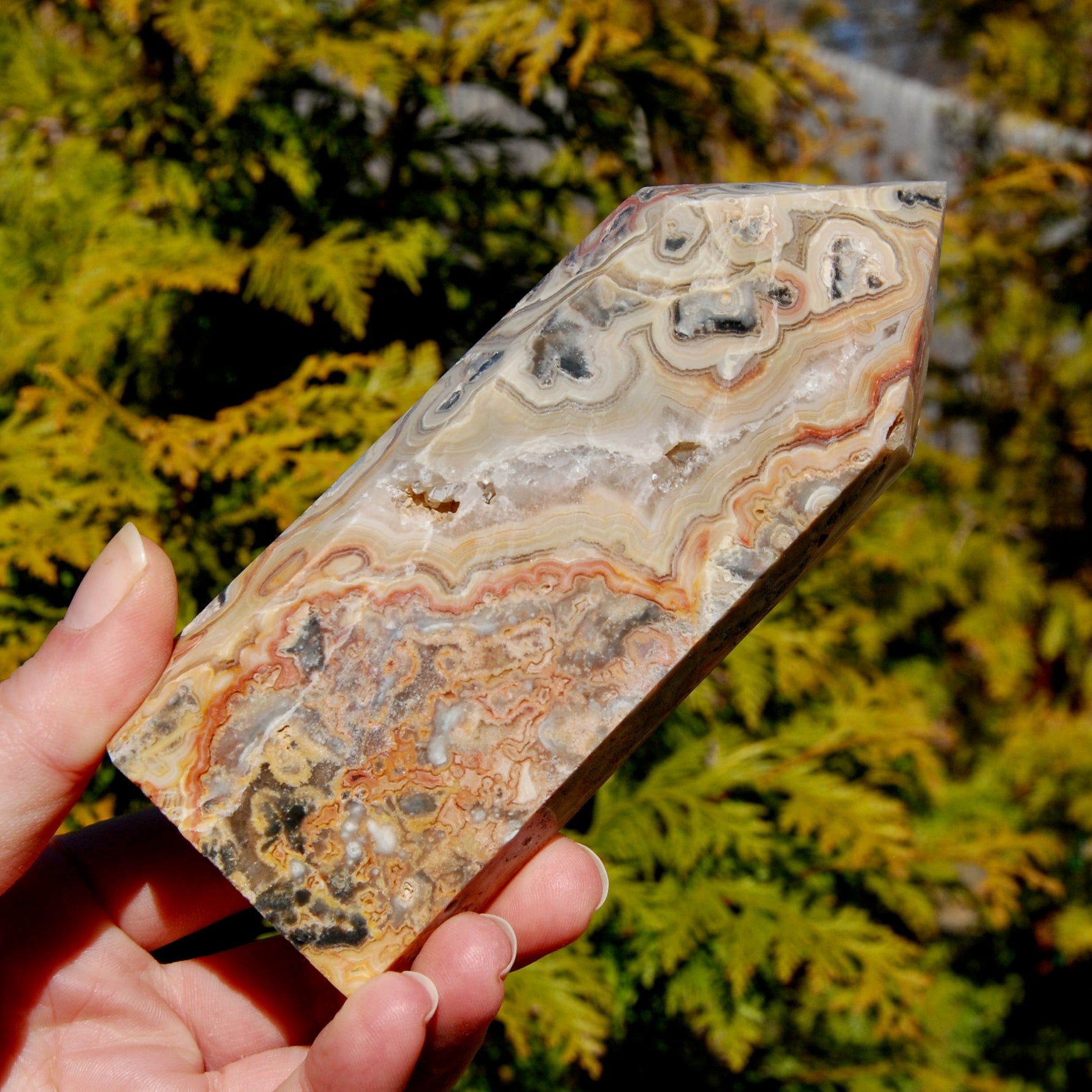 Crazy Lace Agate Crystal Tower