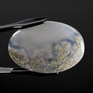 Moss Agate Cabochon