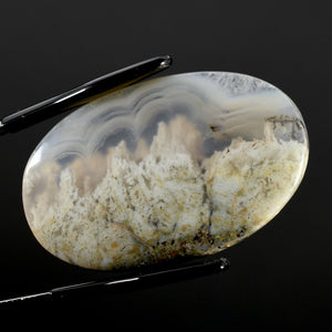 White Moss Agate Oval Cabochon