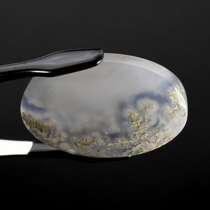 Moss Agate Cabochon