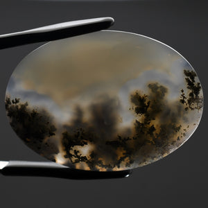 Moss Agate Cabochon