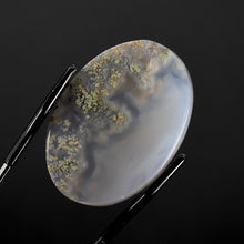 Load image into Gallery viewer, Moss Agate Cabochon
