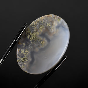 Moss Agate Cabochon