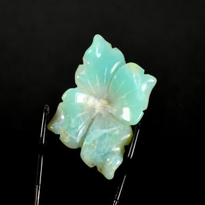 Blue Andean Opal Flower