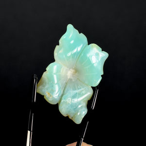 Blue Andean Opal Flower