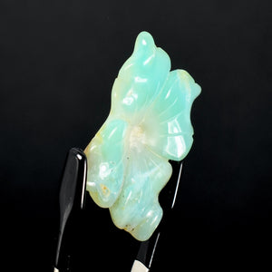 Blue Andean Opal Flower