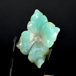 Blue Andean Opal Flower