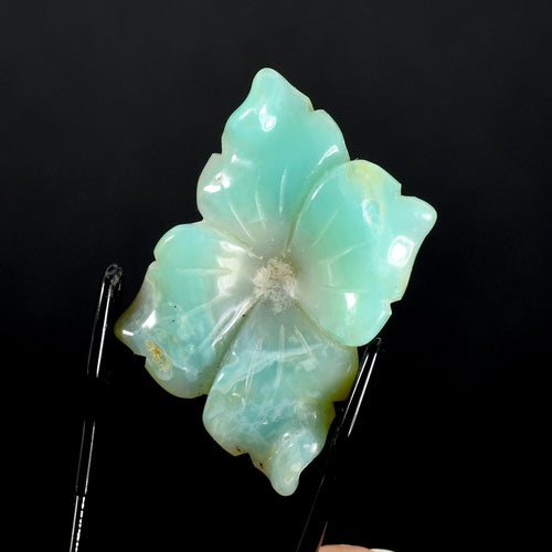 Blue Andean Opal Flower