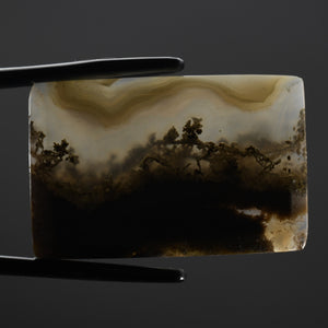 Moss Agate Cabochon