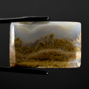 Moss Agate Cabochon