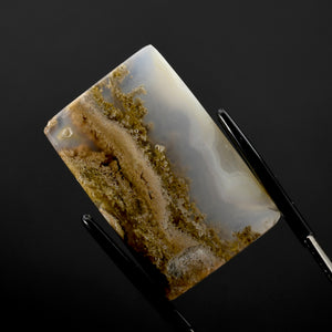 Moss Agate Cabochon