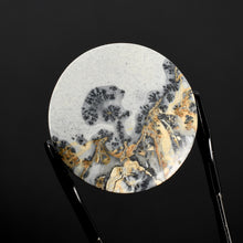 Load image into Gallery viewer, Maligano Jasper Round Cabochon 
