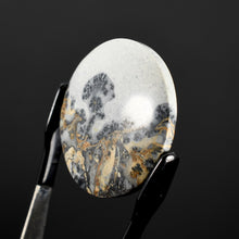 Load image into Gallery viewer, Maligano Jasper Round Cabochon 
