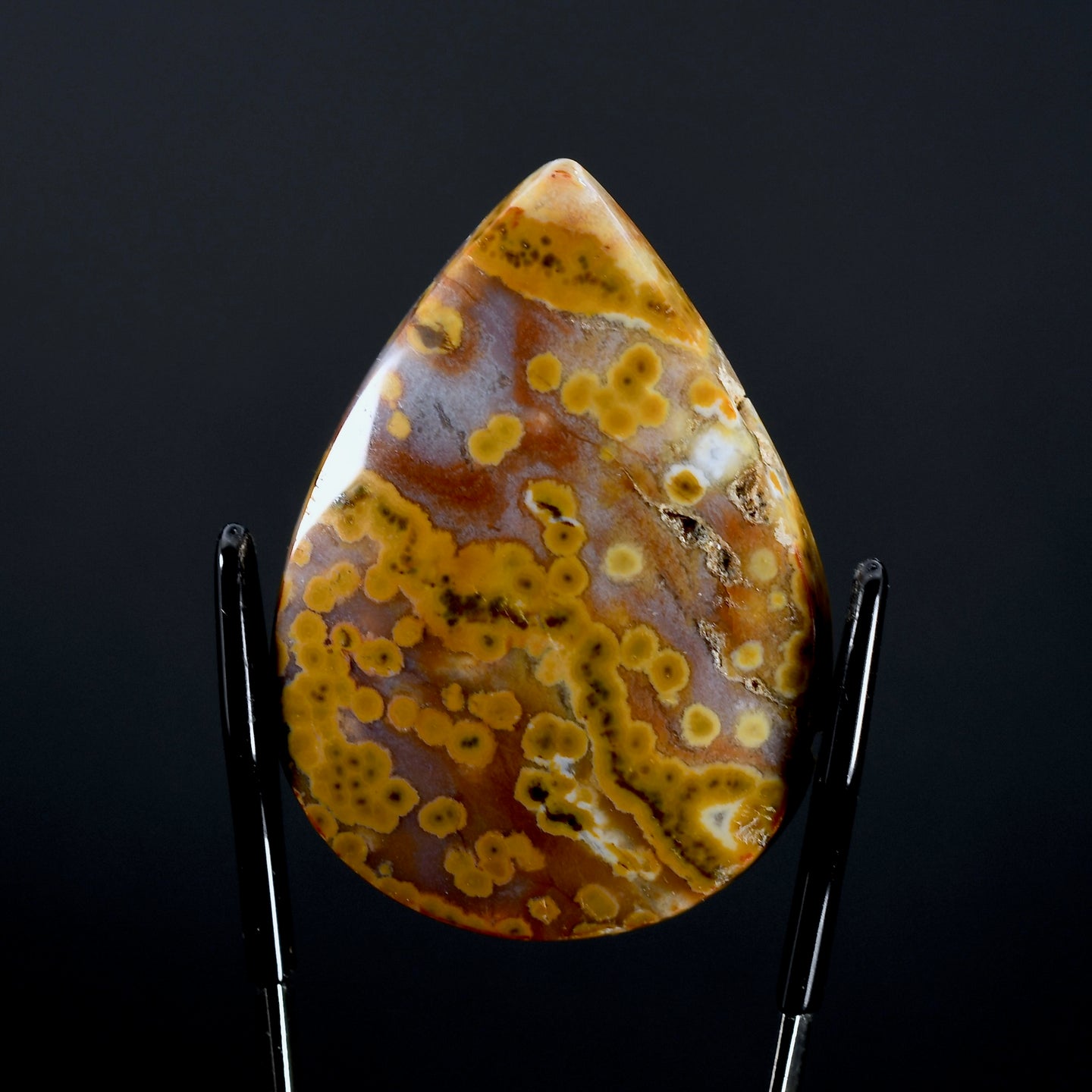 Ocean Jasper Cabochon