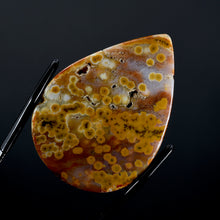 Load image into Gallery viewer, Ocean Jasper Cabochon
