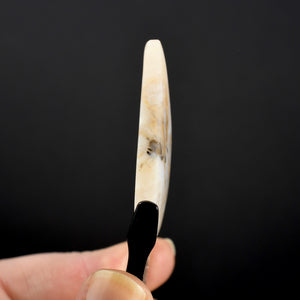 Dendritic Plume Agate Cabochon