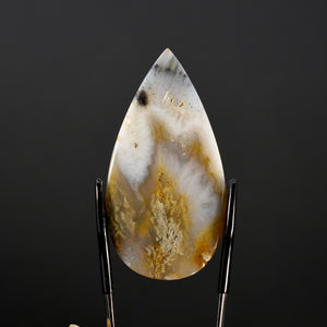 Plume Agate Cabochon