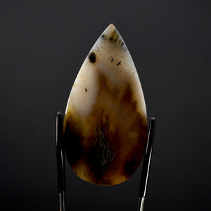 Plume Agate Cabochon