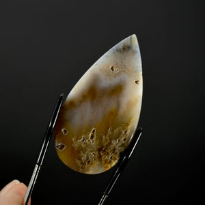 Plume Agate Cabochon