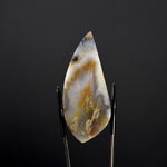Plume Agate Cabochon