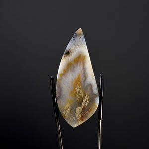 Plume Agate Cabochon