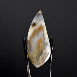 Plume Agate Cabochon