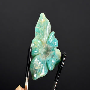 Blue Andean Opal Flower