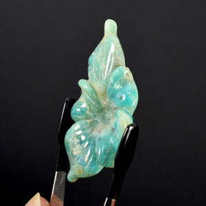 Blue Andean Opal Flower
