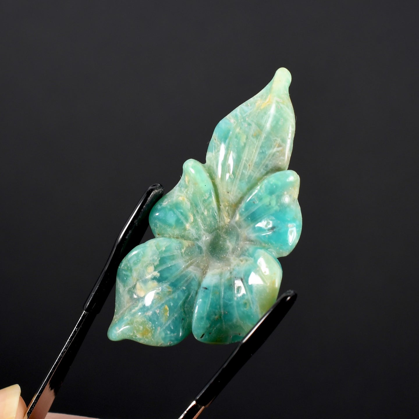 Blue Andean Opal Flower