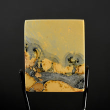 Load image into Gallery viewer, Maligano Jasper Cabochon 
