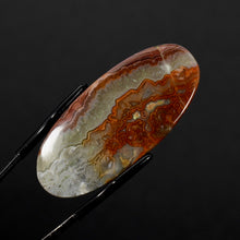 Load image into Gallery viewer, Red Crazy Lace Agate Oval Cabochon
